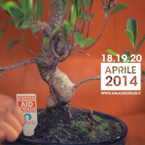 bonsai-aid-aids-2014